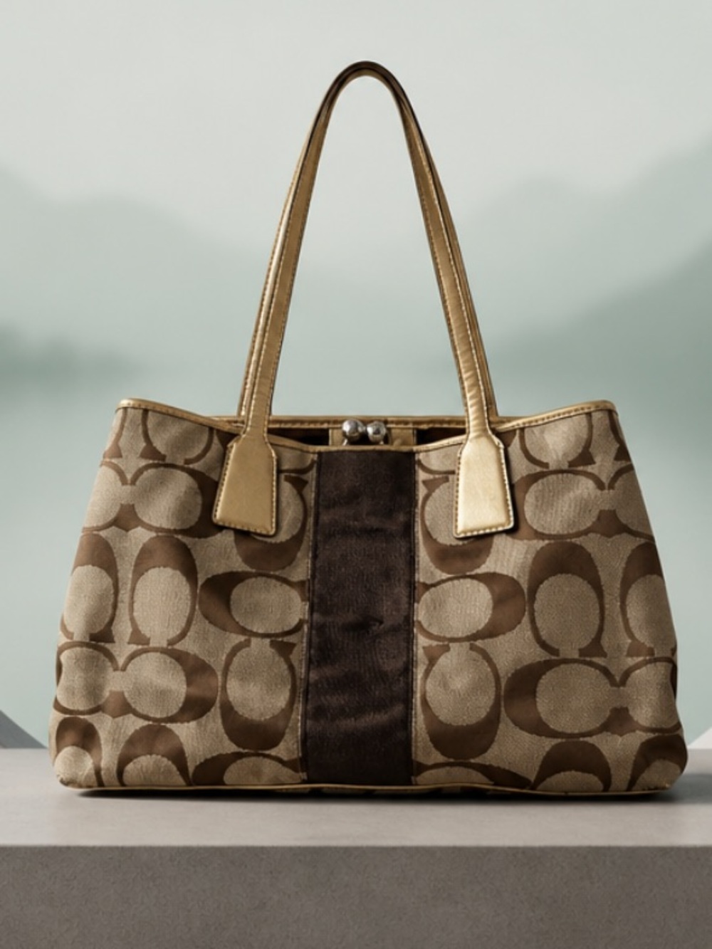 Authentic Coach Medium to Large Size Bag.